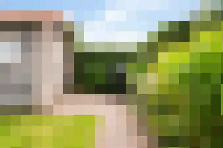 Doniapark 16 Langweer thumbnail 43