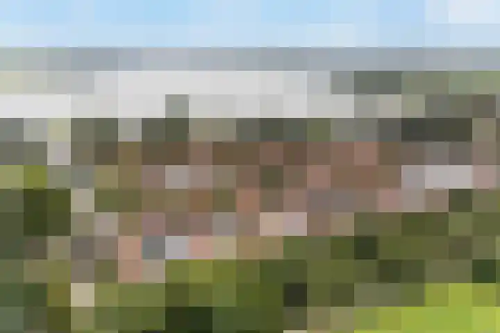 Doniapark 16 Langweer thumbnail 5