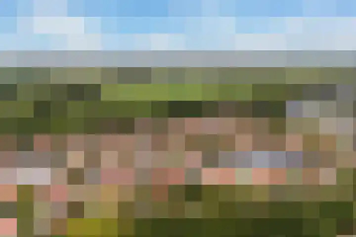 Doniapark 16 Langweer thumbnail 53