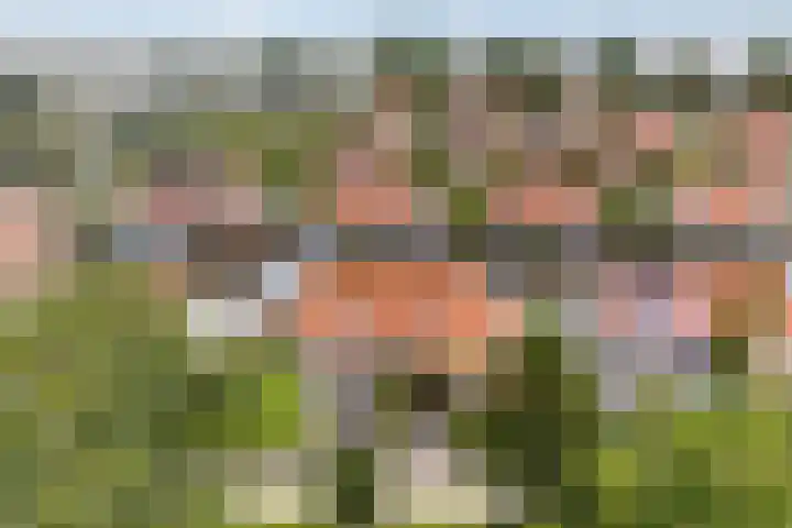 Doniapark 16 Langweer thumbnail 54