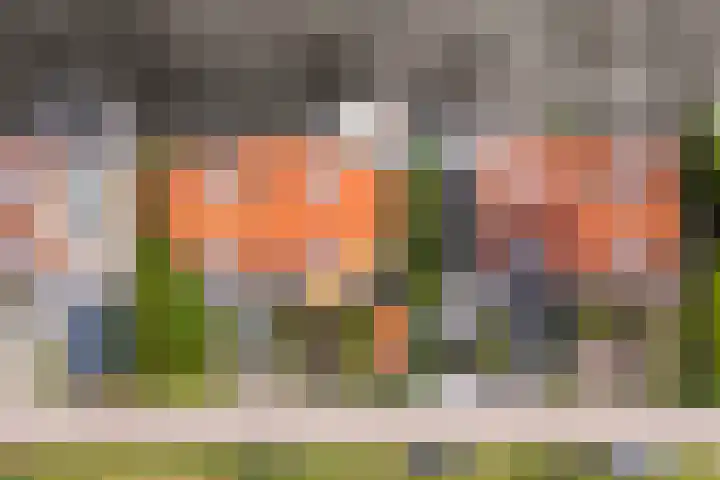 Doniapark 16 Langweer thumbnail 56