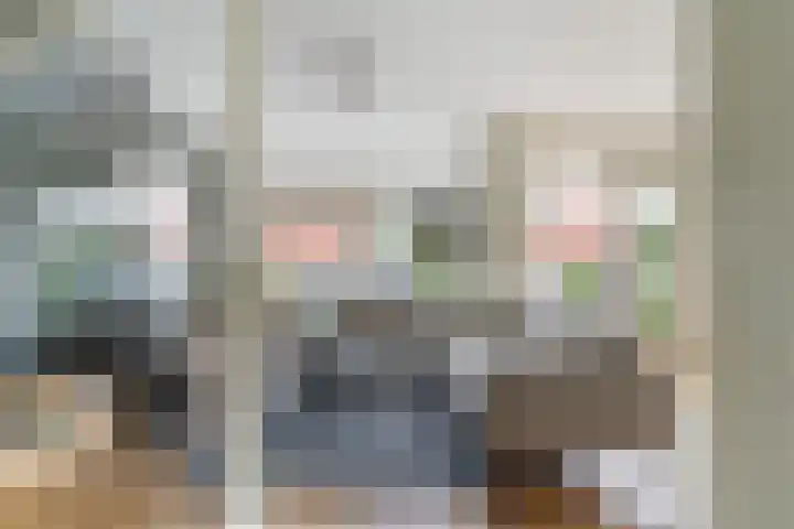 Doniapark 16 Langweer thumbnail 8