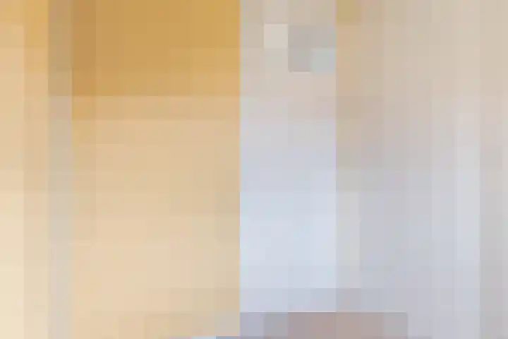 Doniastrjitte 17 Woudsend thumbnail 18
