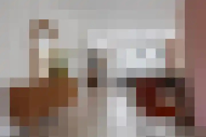 Doniawei 26 A Damwâld thumbnail 16