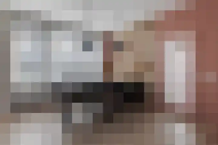 Doniawei 26 A Damwâld thumbnail 17
