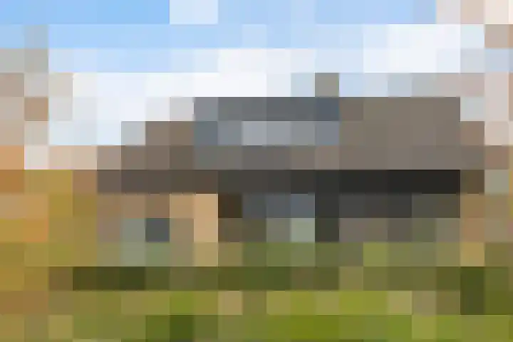Doniawei 26 A Damwâld thumbnail 8