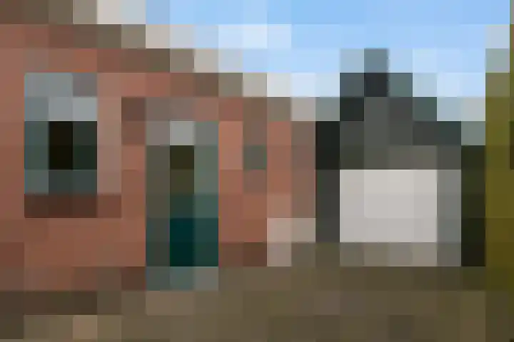 Doniawei 61 Damwâld thumbnail 12