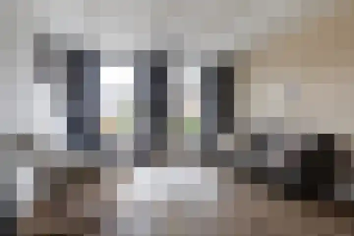 Doniawei 61 Damwâld thumbnail 19