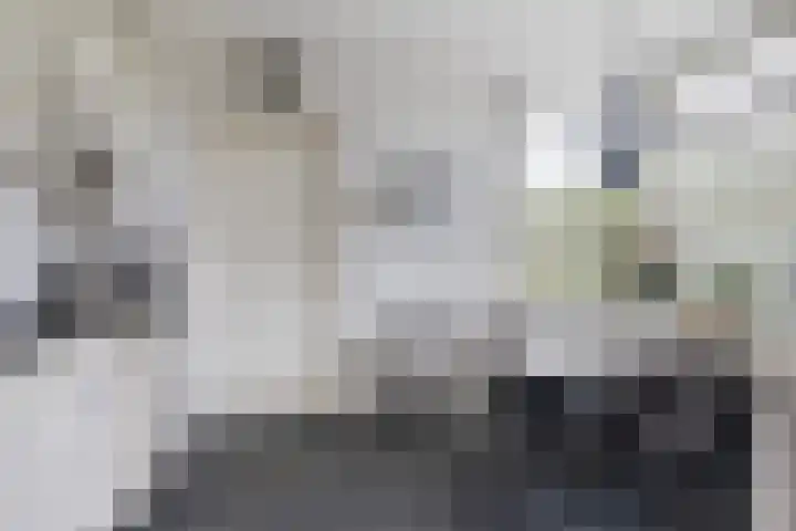 Doniawei 61 Damwâld thumbnail 23