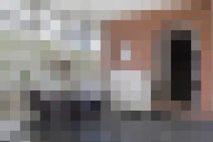 Doniawei 61 Damwâld thumbnail 24