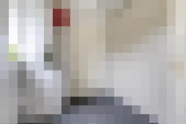 Doniawei 61 Damwâld thumbnail 25