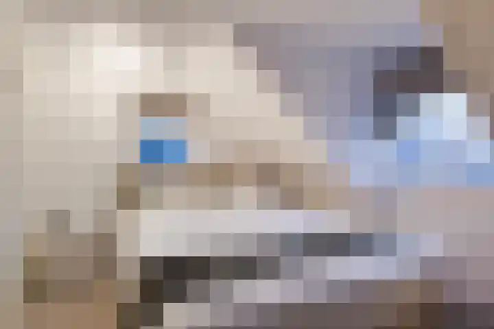 Doniawei 61 Damwâld thumbnail 35