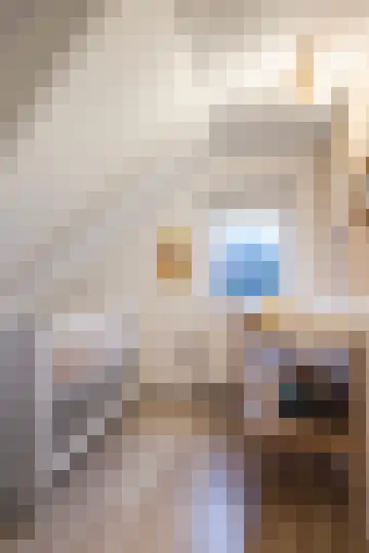Doniawei 61 Damwâld thumbnail 37