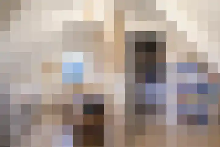 Doniawei 61 Damwâld thumbnail 38