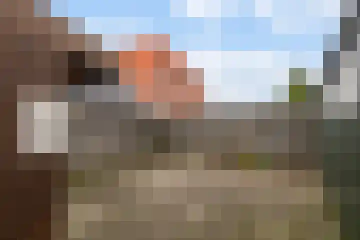 Doniawei 61 Damwâld thumbnail 41