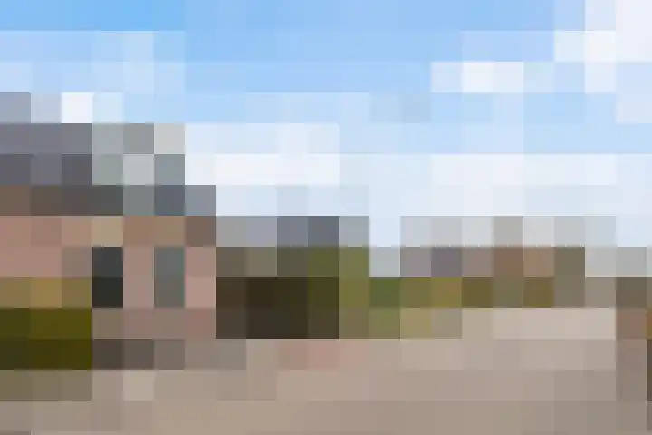 Doniawei 61 Damwâld thumbnail 5