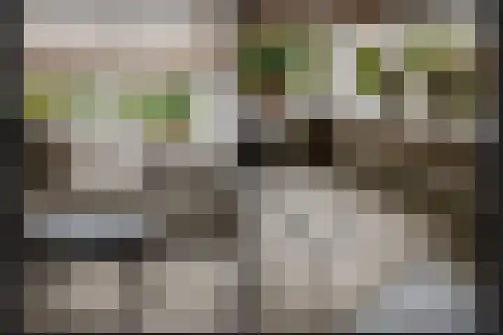 Donjon 18 Dreumel thumbnail 12