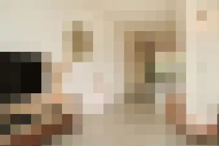 Donjon 18 Dreumel thumbnail 13