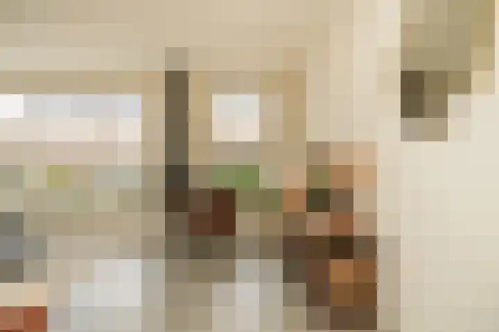 Donjon 18 Dreumel thumbnail 15