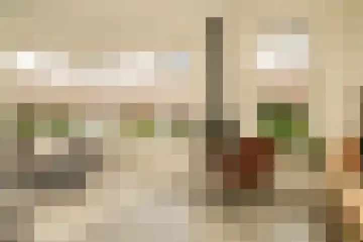 Donjon 18 Dreumel thumbnail 17