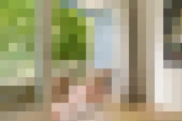 Donjon 18 Dreumel thumbnail 19