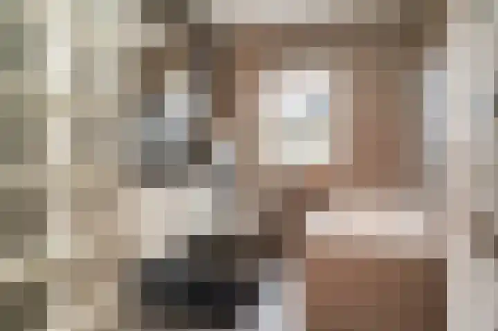 Donjon 18 Dreumel thumbnail 24