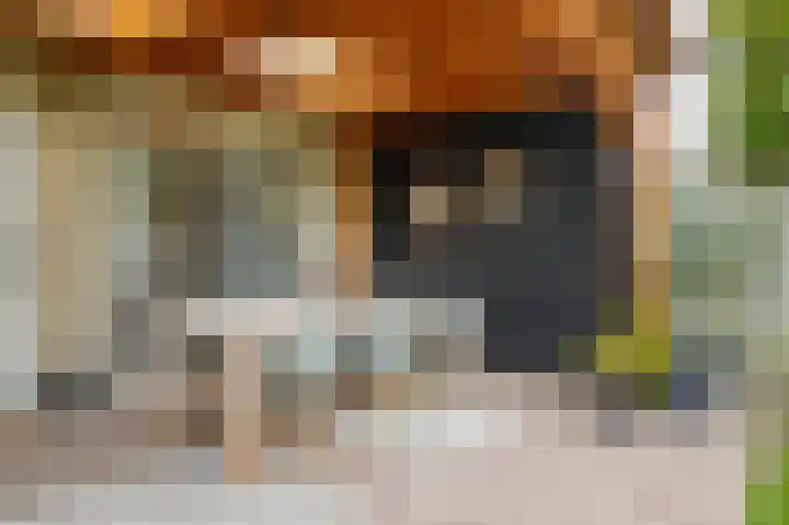 Donjon 18 Dreumel thumbnail 35