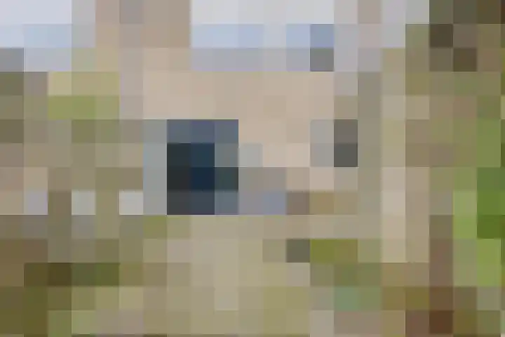 Donjon 18 Dreumel thumbnail 36