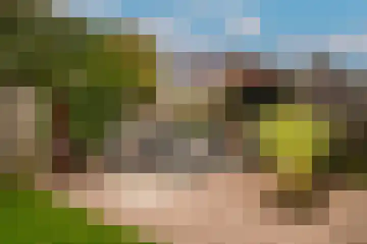 Donjon 18 Dreumel thumbnail 37