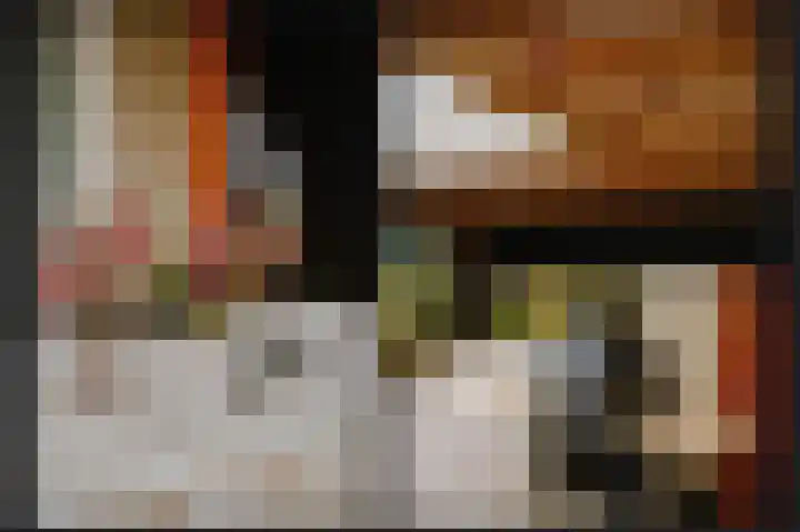 Donjon 18 Dreumel thumbnail 43