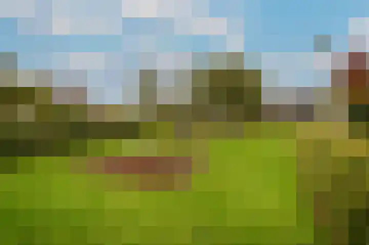 Donjon 18 Dreumel thumbnail 49