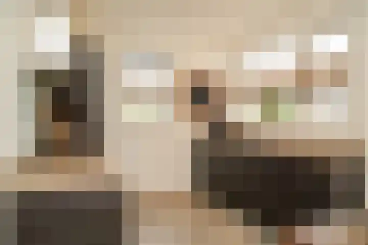 Donjon 18 Dreumel thumbnail 6