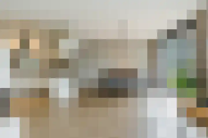 Donjon 48 Geldrop thumbnail 18
