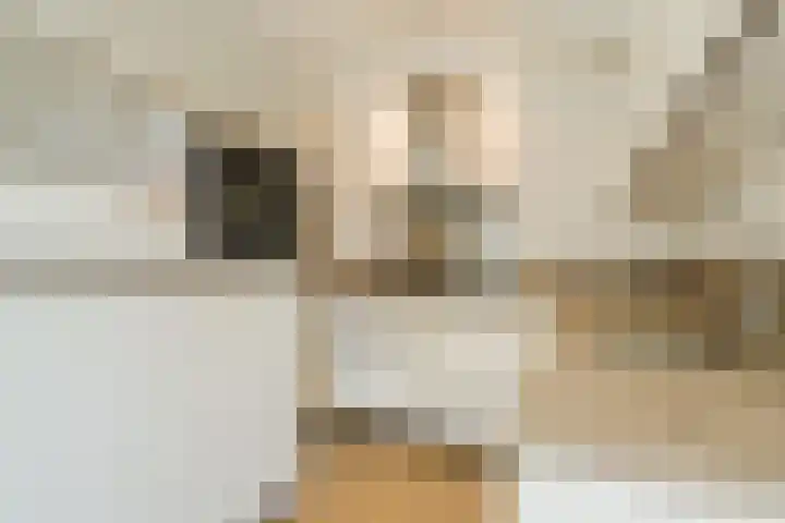 Donjon 48 Geldrop thumbnail 19