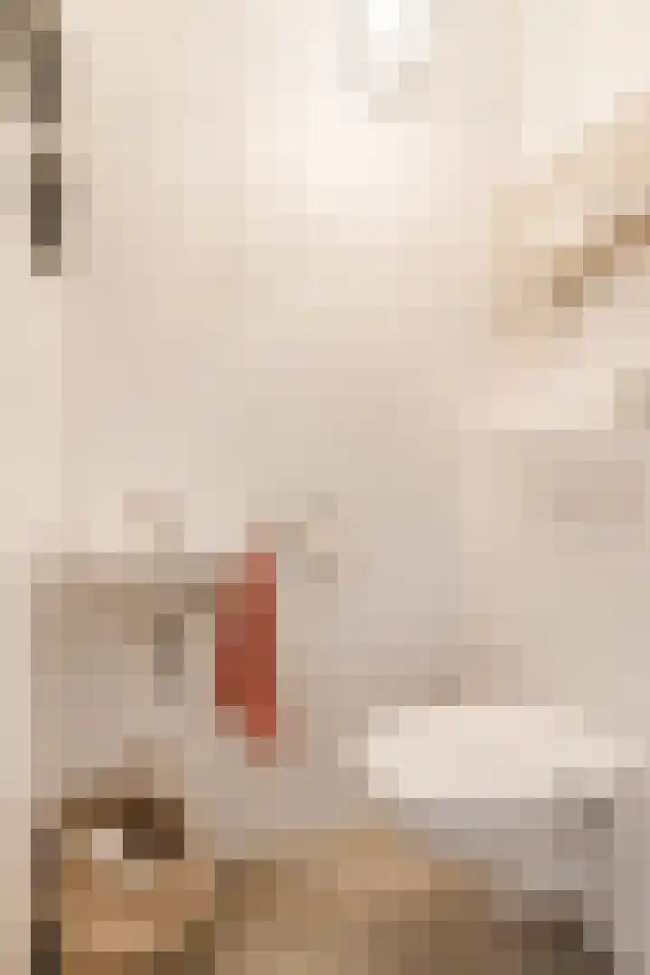 Donjon 48 Geldrop thumbnail 28