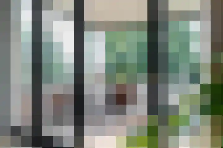Donjon 48 Geldrop thumbnail 30