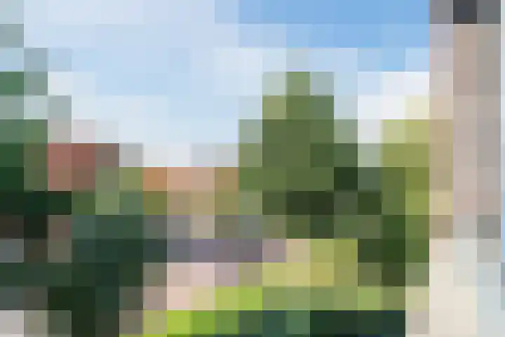 Donjon 48 Geldrop thumbnail 33