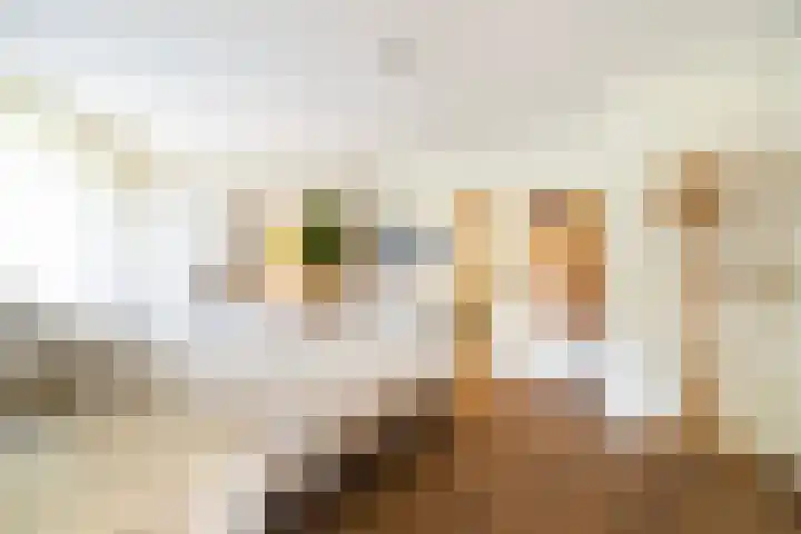 Donjon 48 Geldrop thumbnail 39