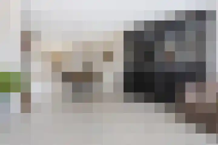 Donjon 80 Dreumel thumbnail 10