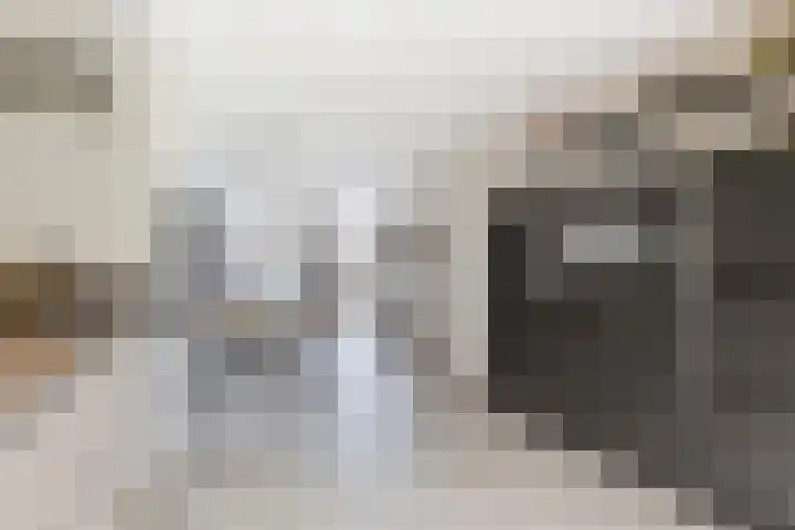 Donjon 80 Dreumel thumbnail 11