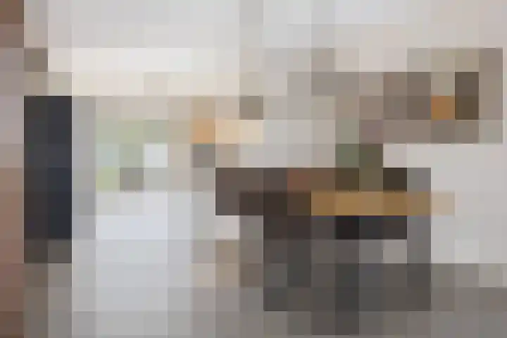 Donjon 80 Dreumel thumbnail 12