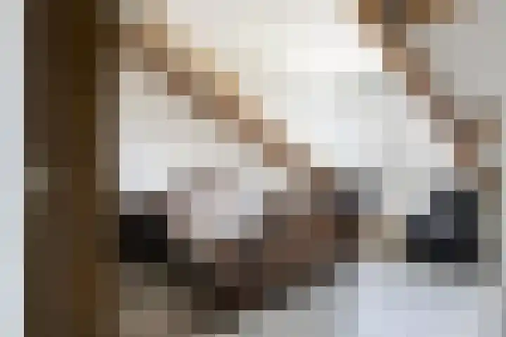 Donjon 80 Dreumel thumbnail 26