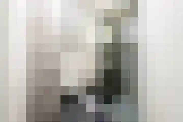 Donjon 80 Dreumel thumbnail 28