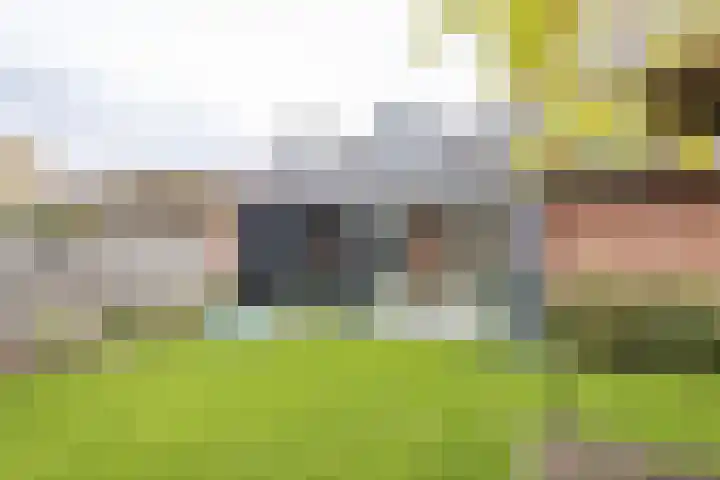 Donjon 80 Dreumel thumbnail 32