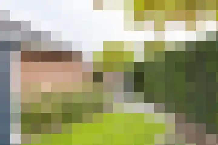 Donjon 80 Dreumel thumbnail 33