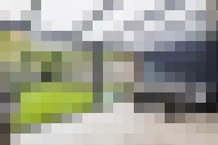 Donjon 80 Dreumel thumbnail 34