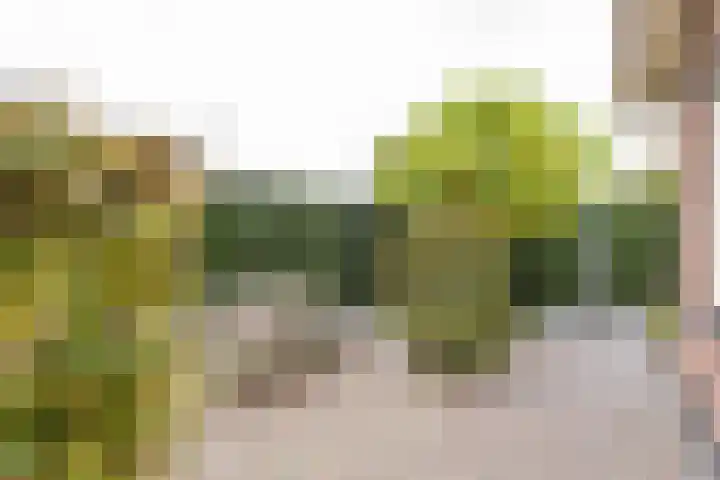 Donjon 80 Dreumel thumbnail 37
