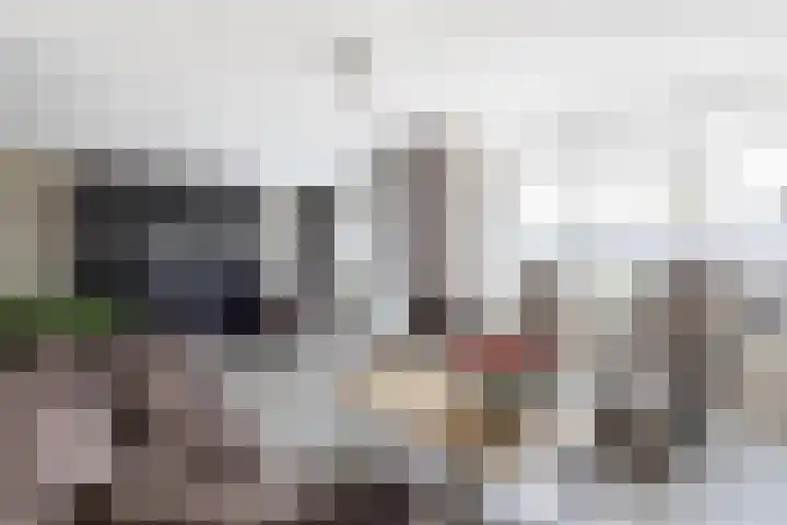 Donjon 80 Dreumel thumbnail 8