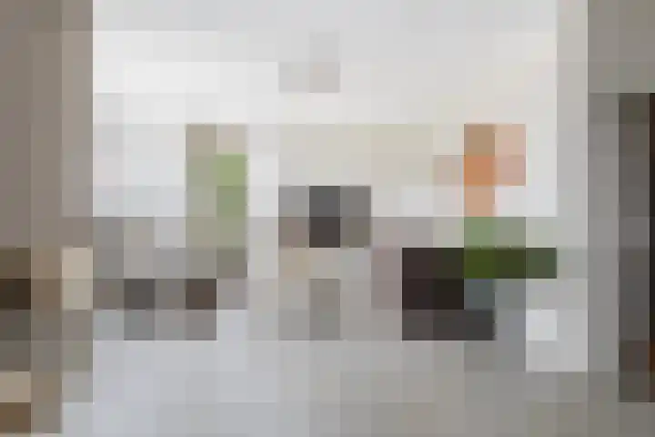 Donjon 80 Dreumel thumbnail 9