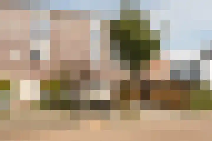 Donk 31 Kampen thumbnail 10